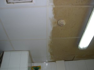 limpieza-de-techos-no-porosos-novatec-group (26)      