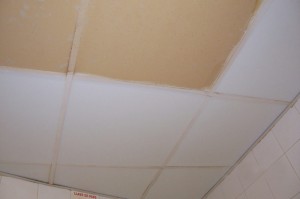 limpieza-de-techos-no-porosos-novatec-group (5)    